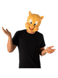 Porky Pig Mask 1