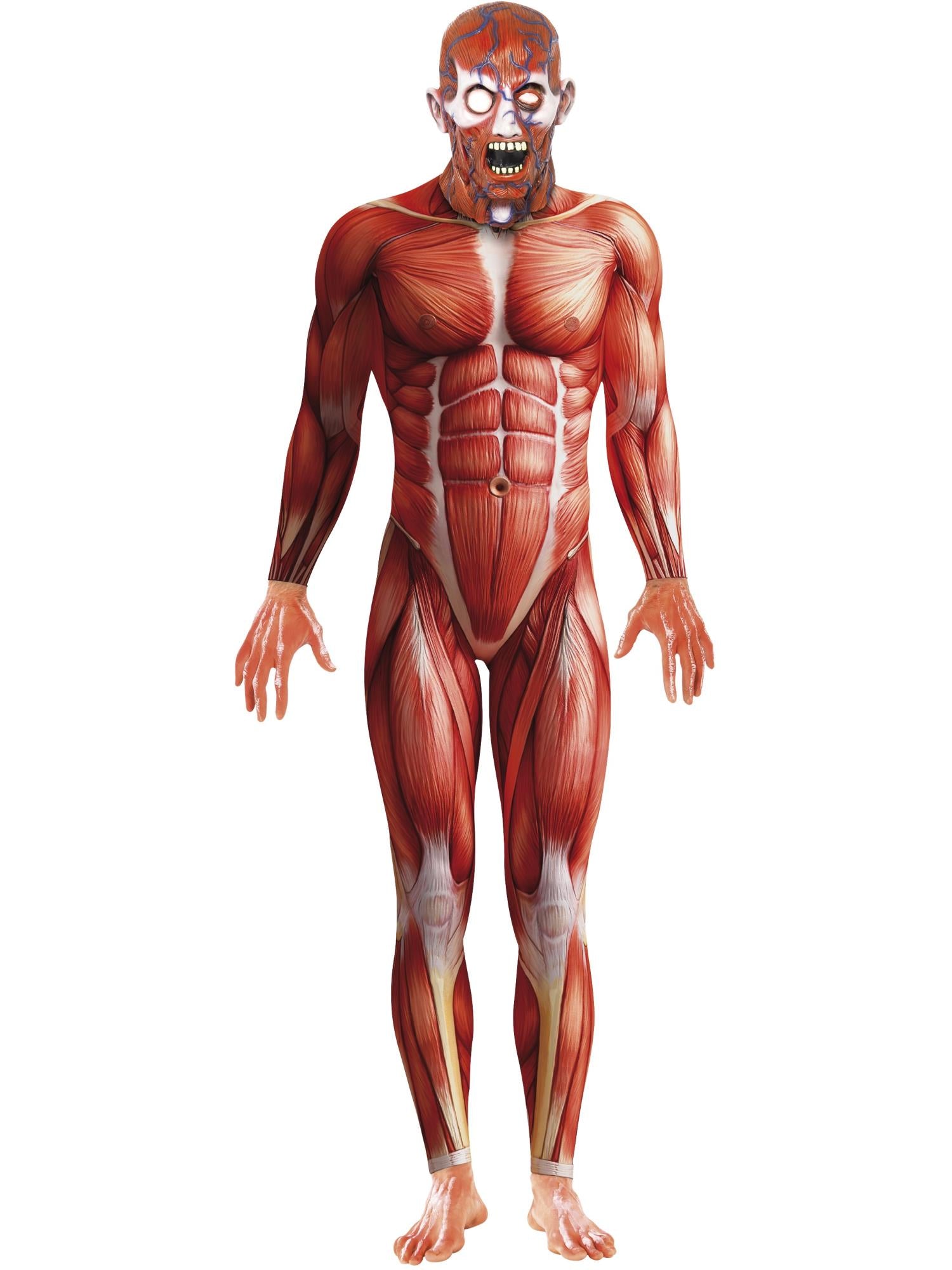 Anatomy Man Costume, Red 1