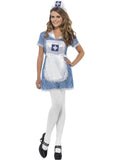 Nurse Naughty Costume, Blue 1