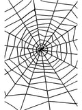 Spider & Spiders Web, Black 1