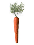 Bunny Carrot 1