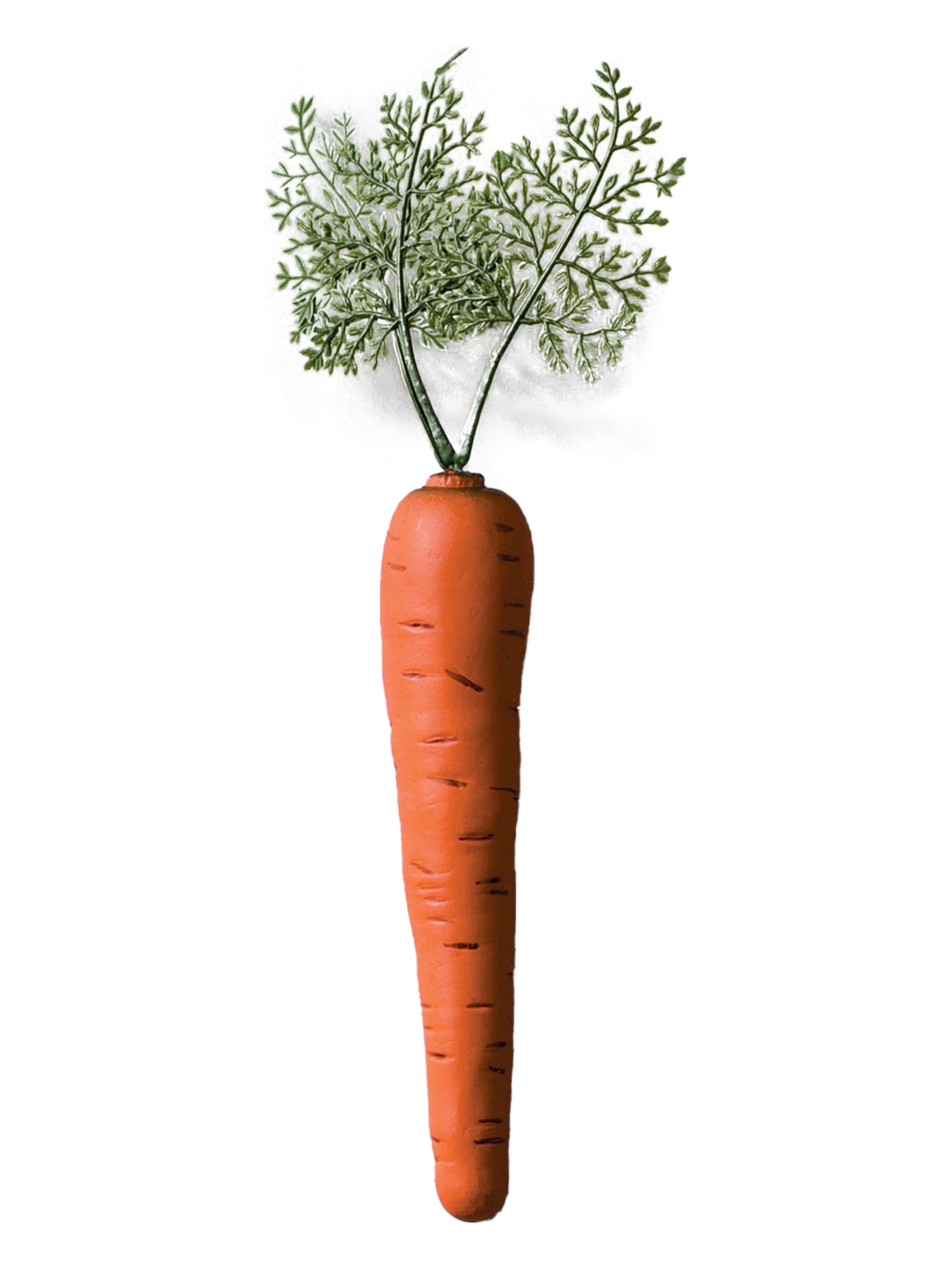 Bunny Carrot 1