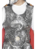 Roman Armour Breastplate, Silver 1