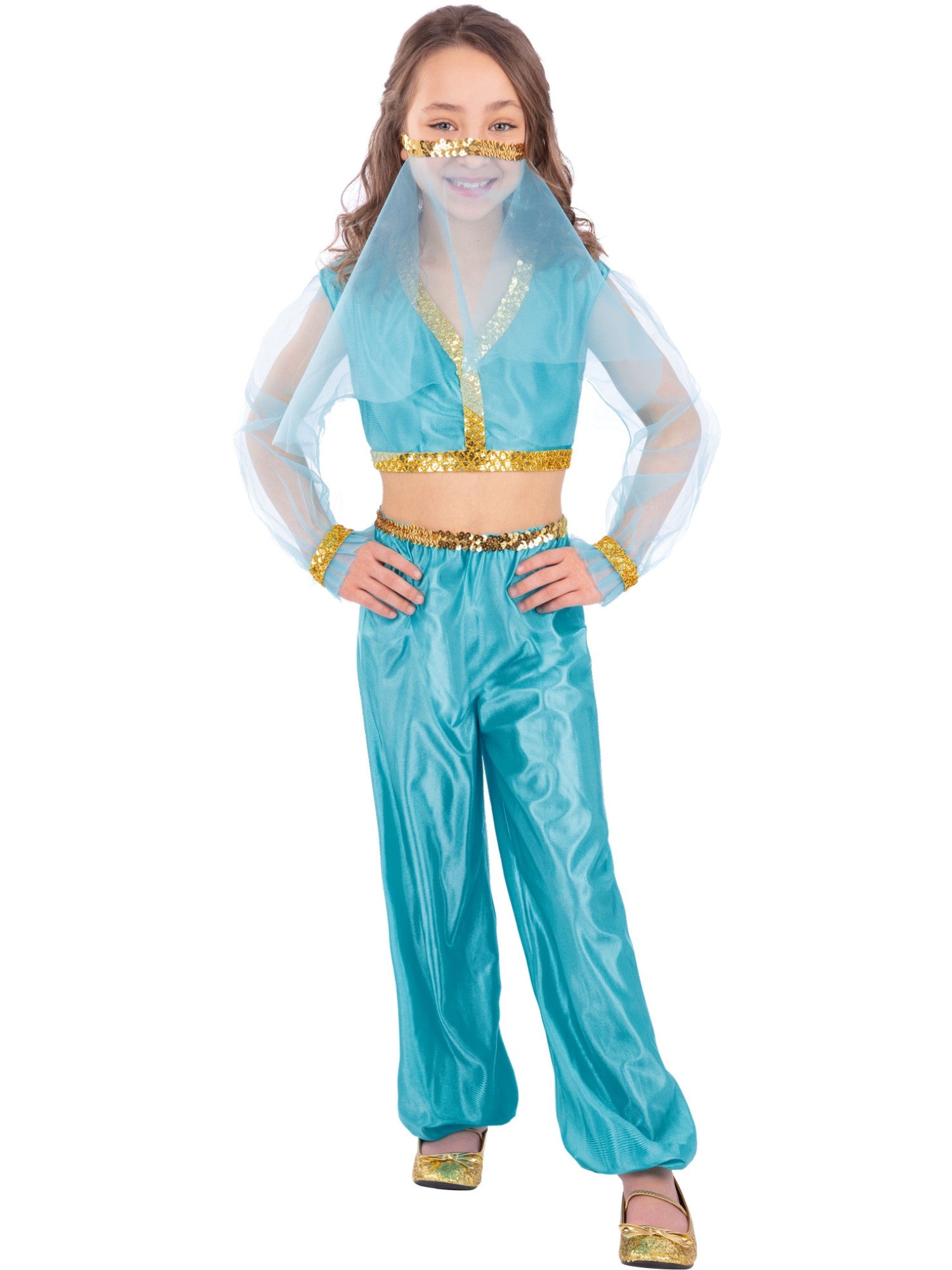 Arabian Princess Costume, Blue 1