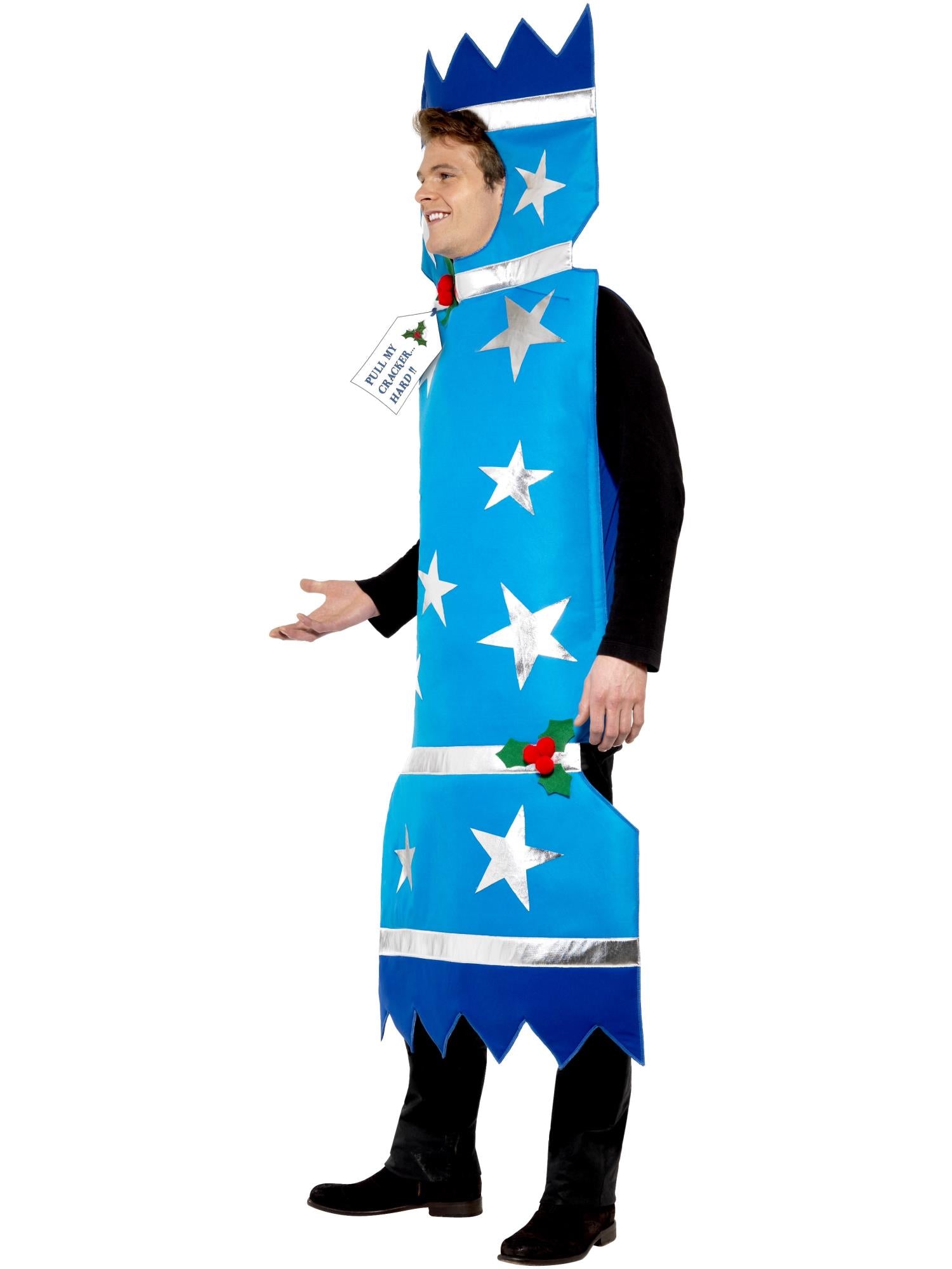 Christmas Cracker Costume, Blue 3