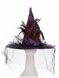 Witch Hat, Purple 1