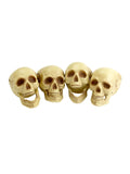 Skull Heads, Natural 1