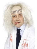 Mad Scientist Wig, Grey 1