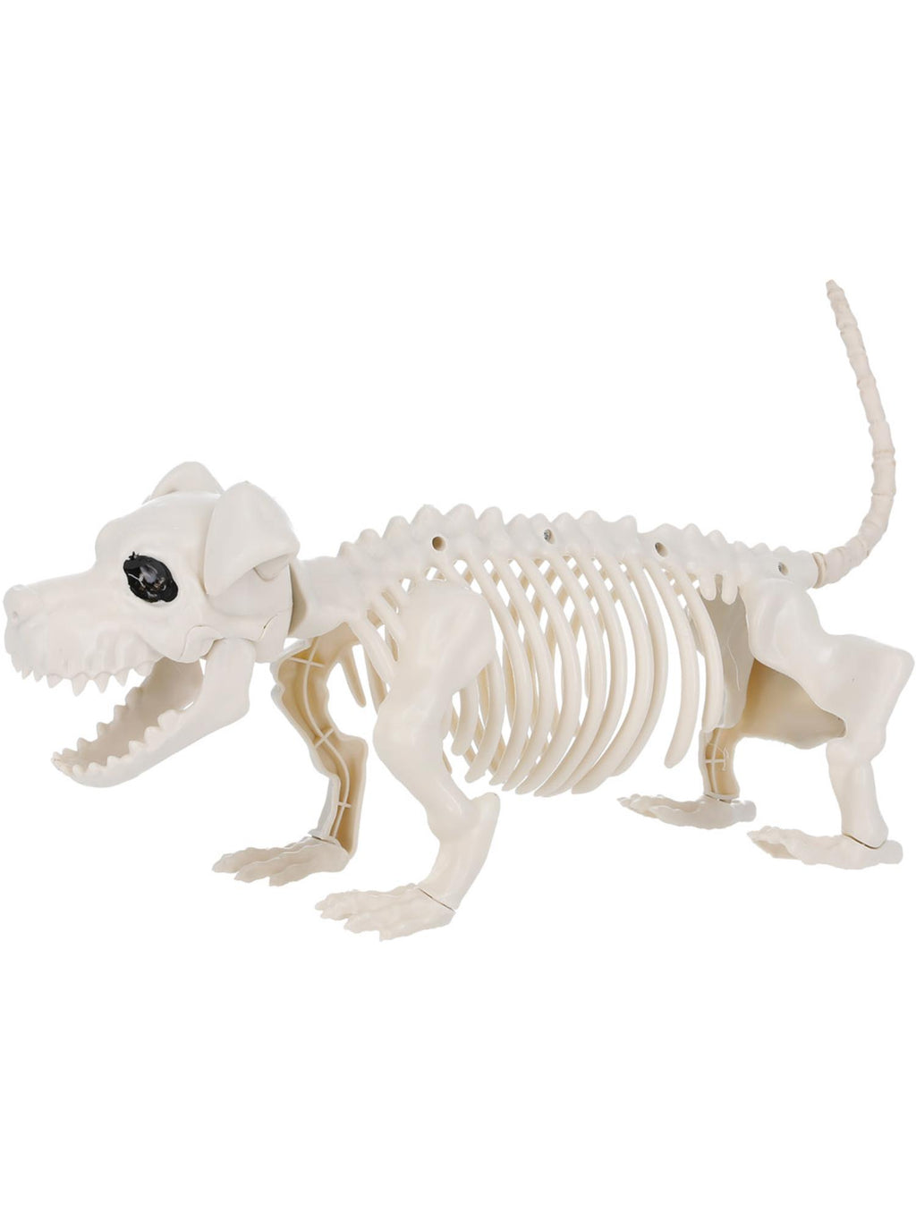 Dog Skeleton Prop, Natural 2