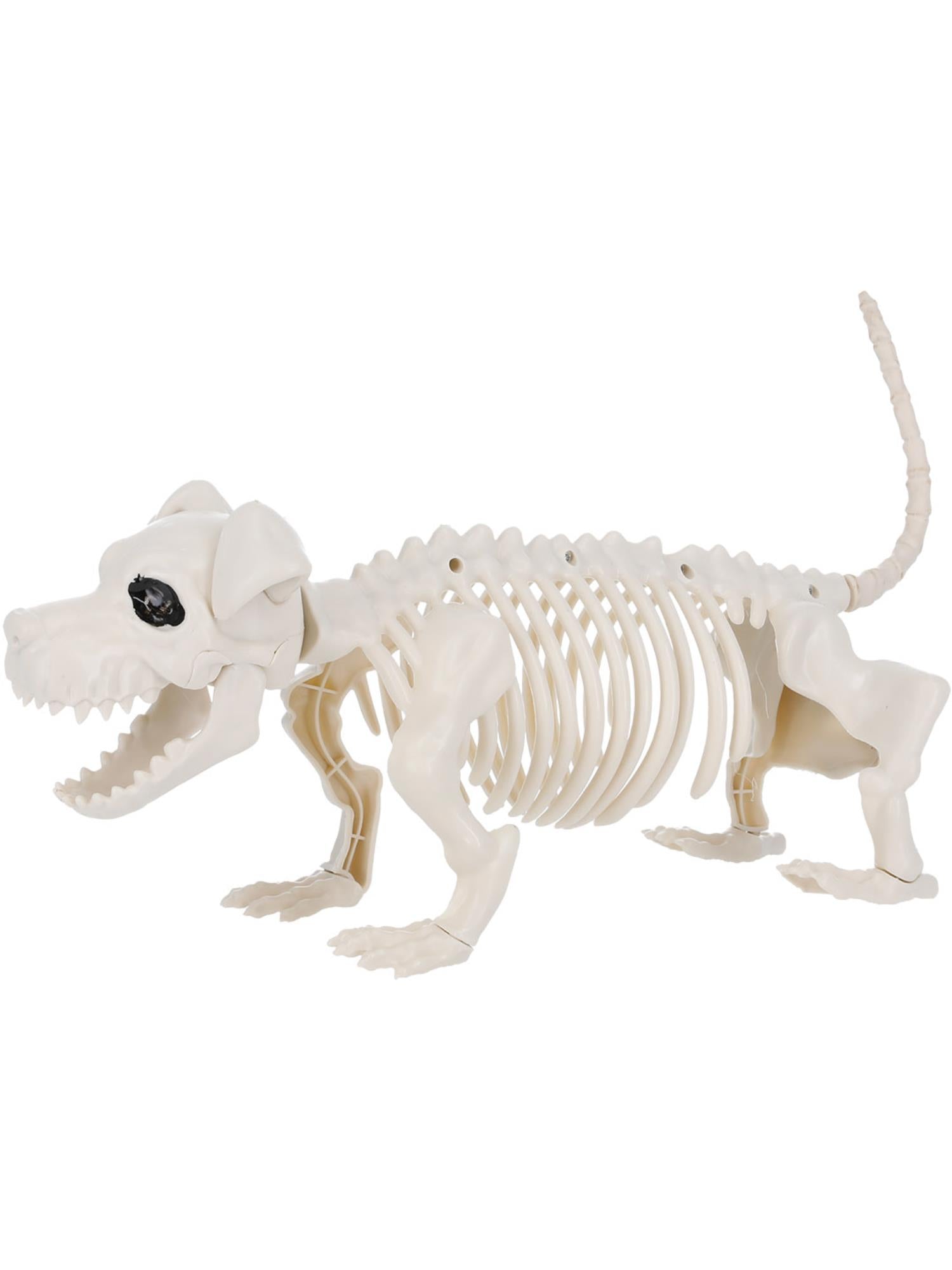 Dog Skeleton Prop, Natural 2