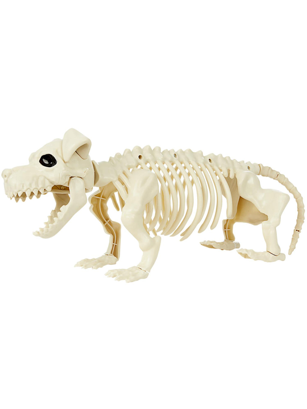 Dog Skeleton Prop, Natural 1