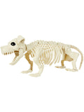 Dog Skeleton Prop, Natural 1