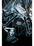 Outdoor Giant Spider & 1.2m Web 1