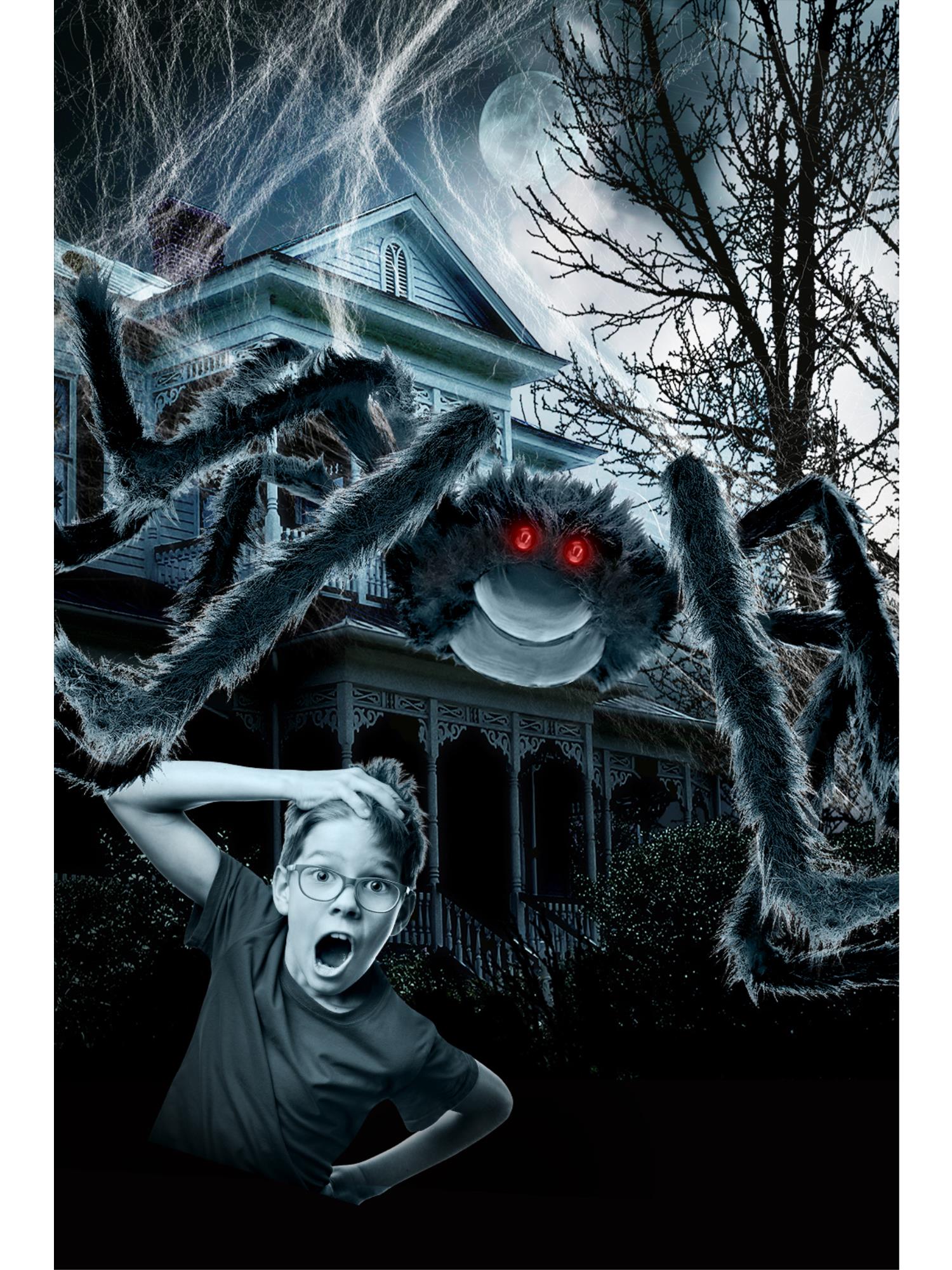 Outdoor Giant Spider & 1.2m Web 1