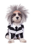 BEETLEJUICE COSTUME 1