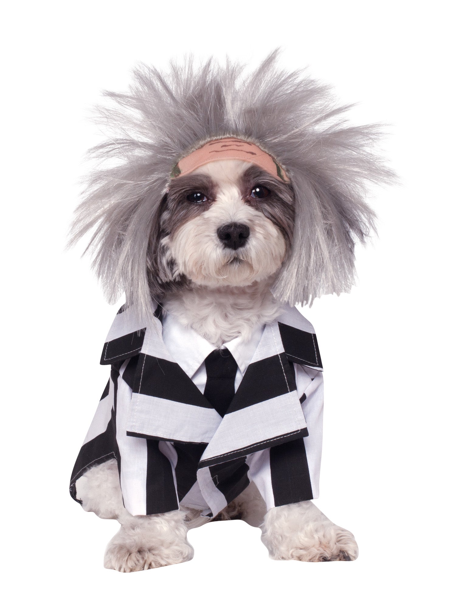 BEETLEJUICE PET COSTUME 1