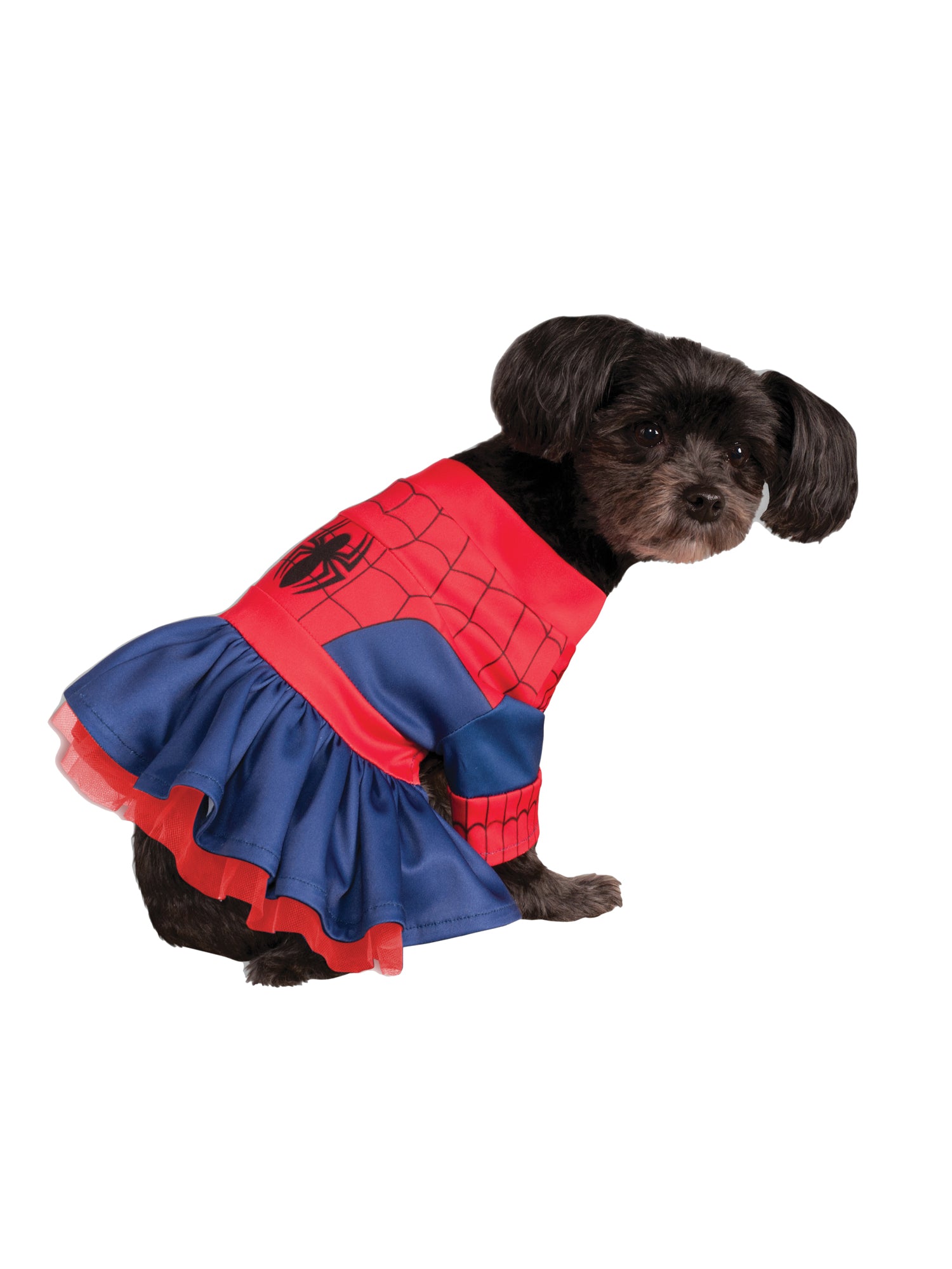 Spidergirl Pet Costume 1