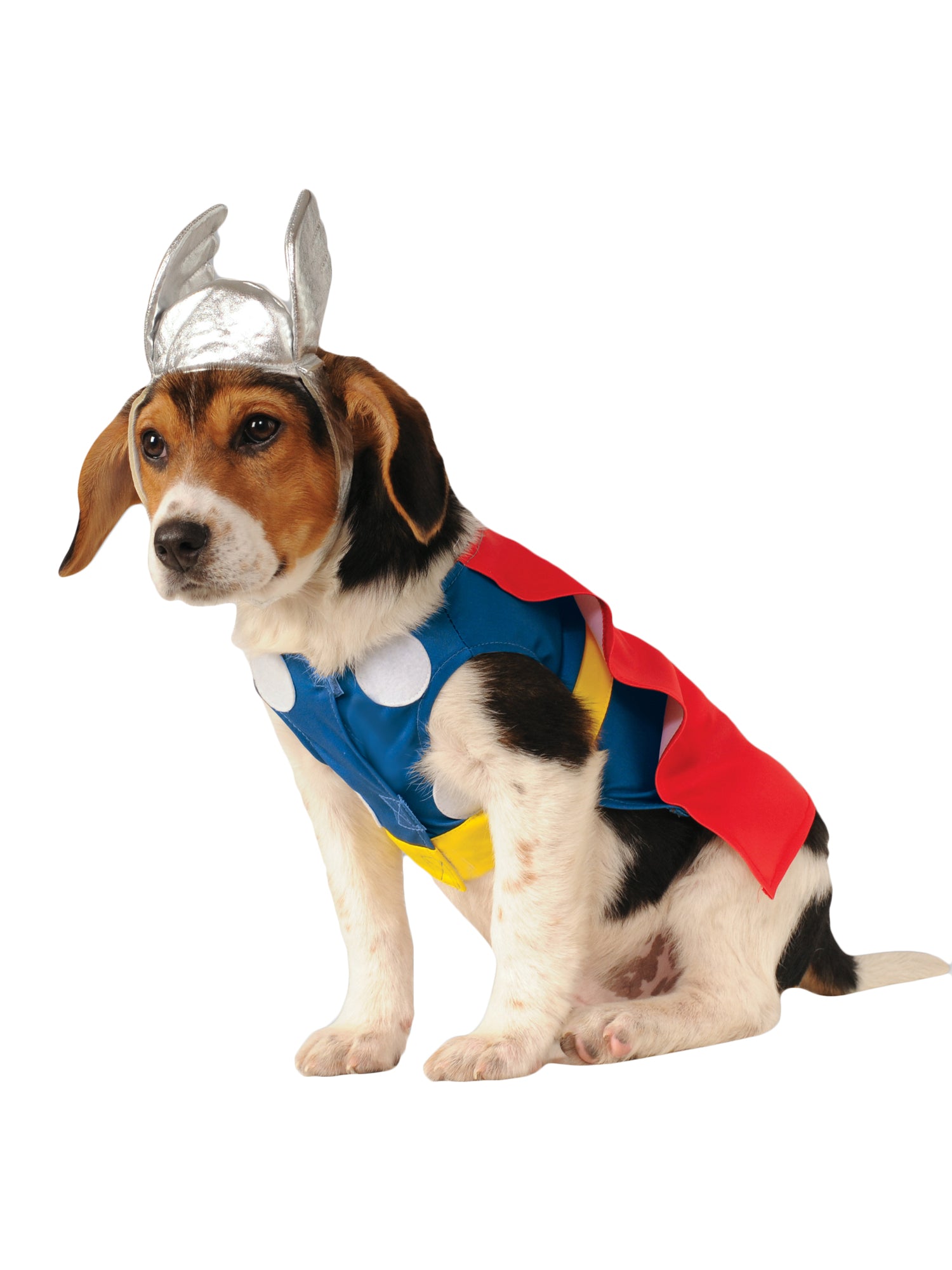 Thor Pet Costume 1