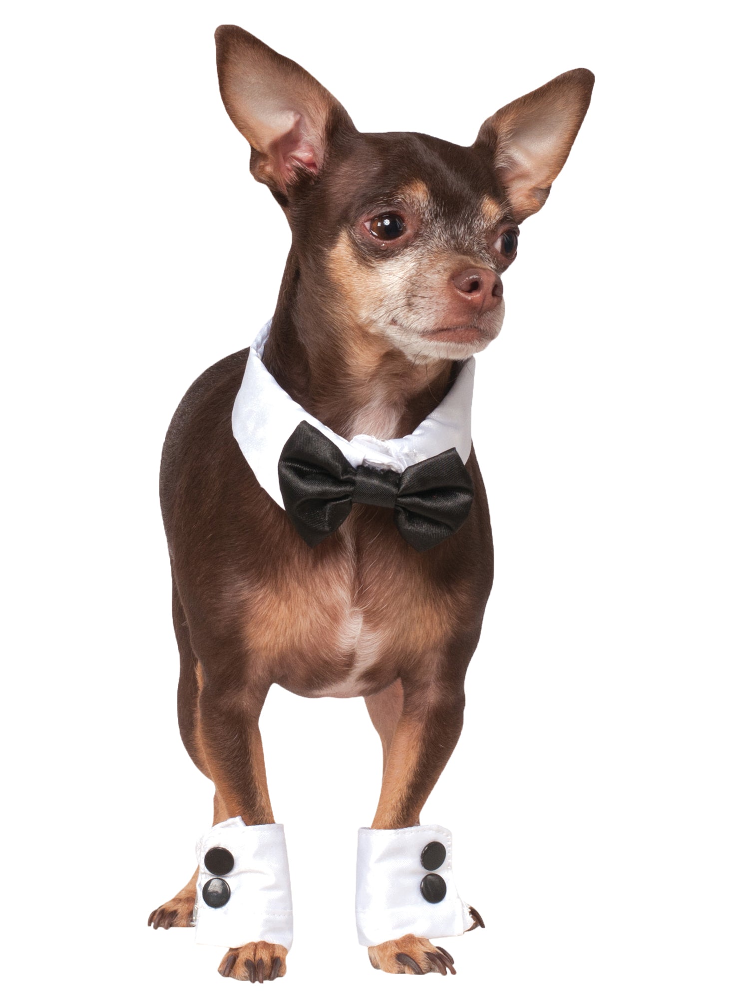 Pets Bowtie & Cuff Set Pet Costume 1