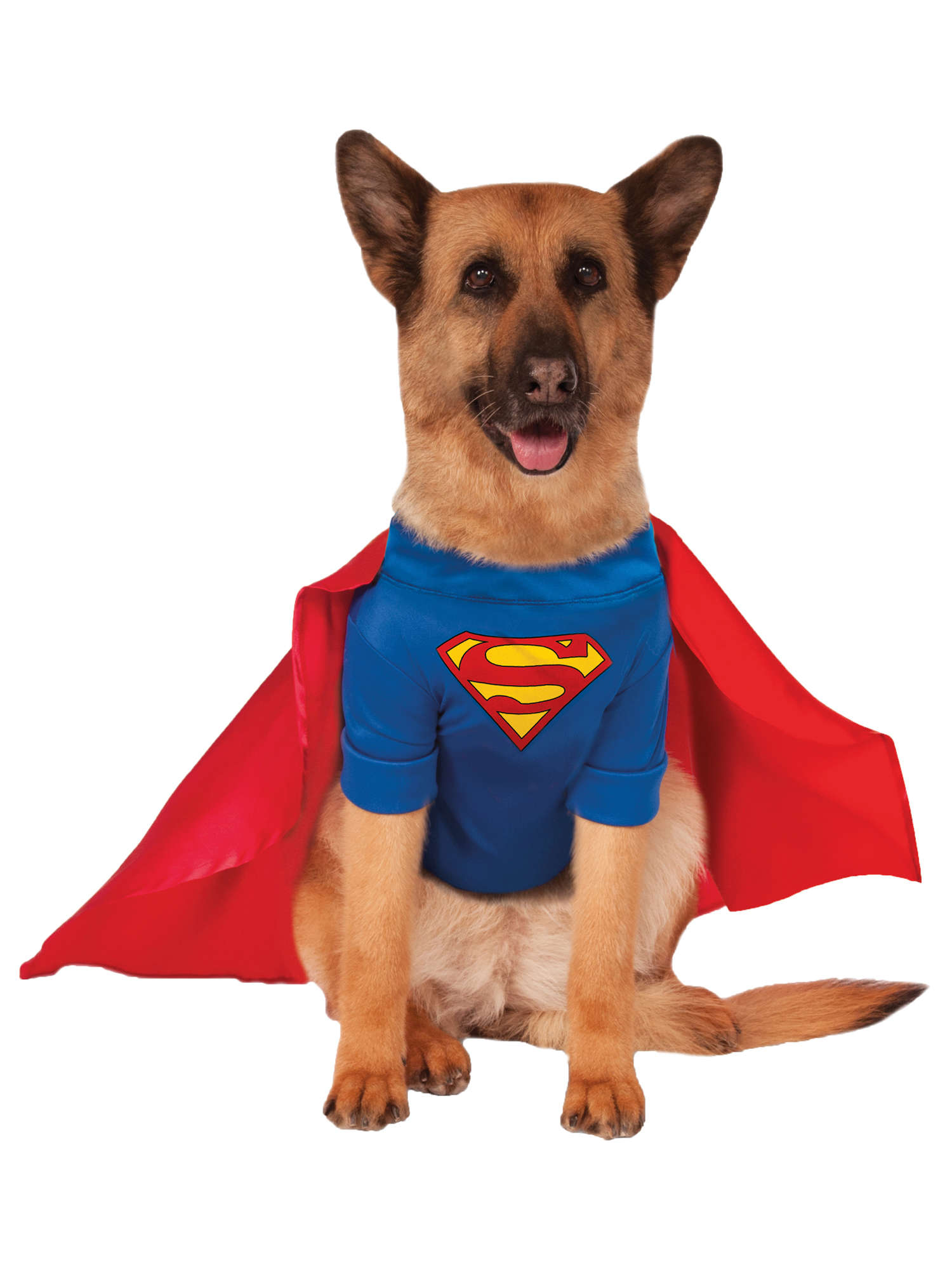 Superman Pet Costume 1