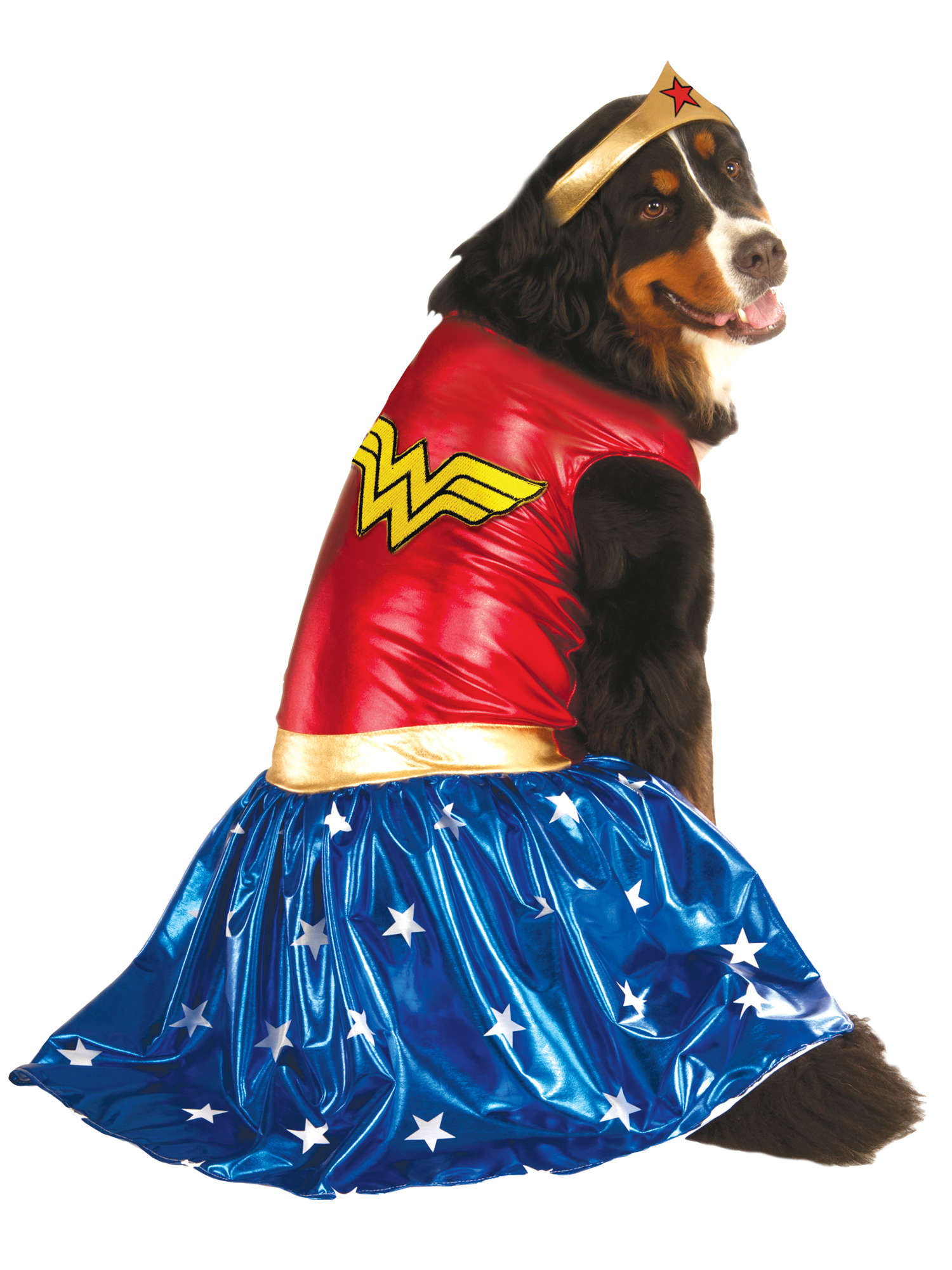 Wonder Woman Pet Costume 1