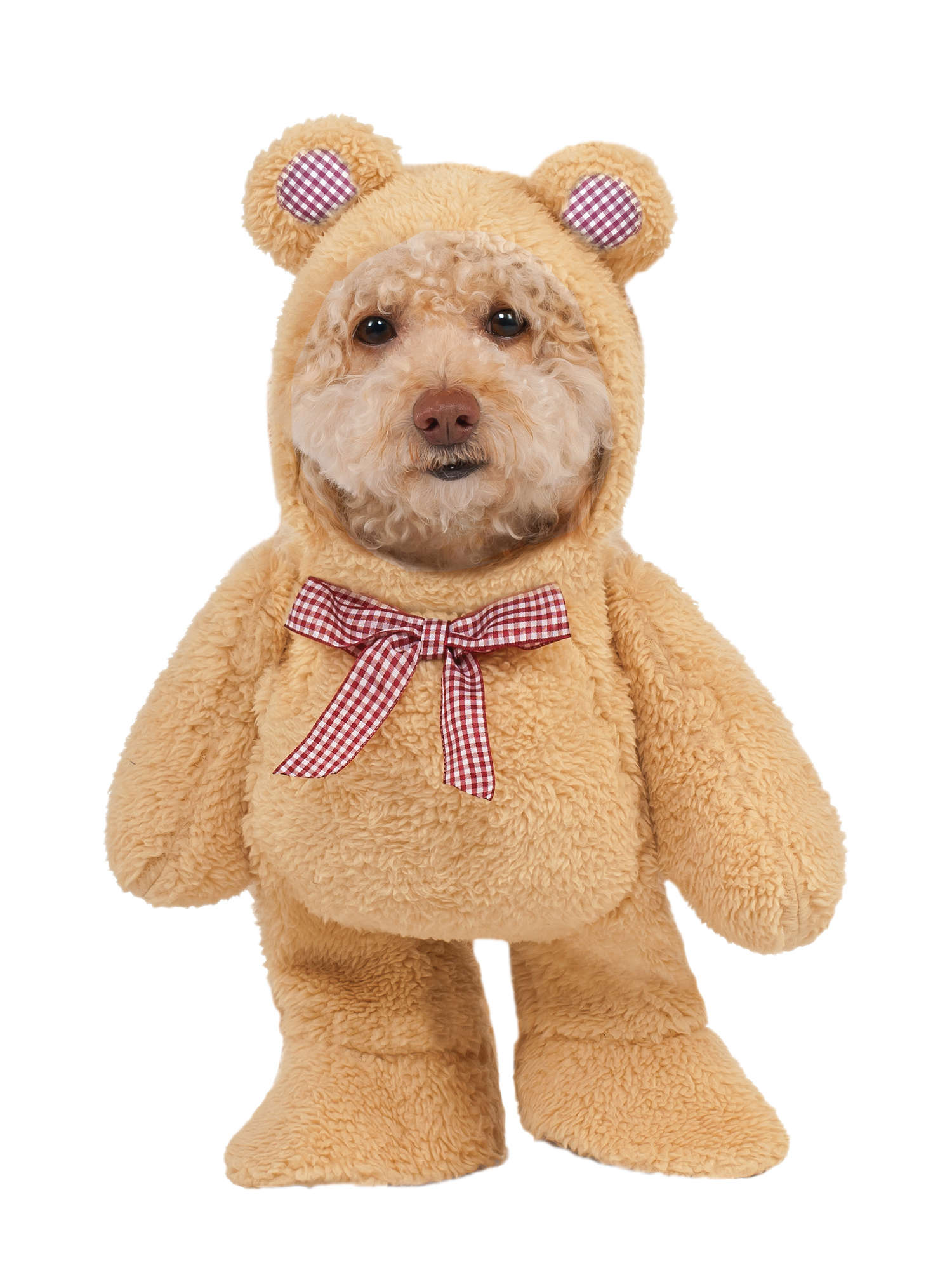 Walking Teddy Bear Pet Costume 1