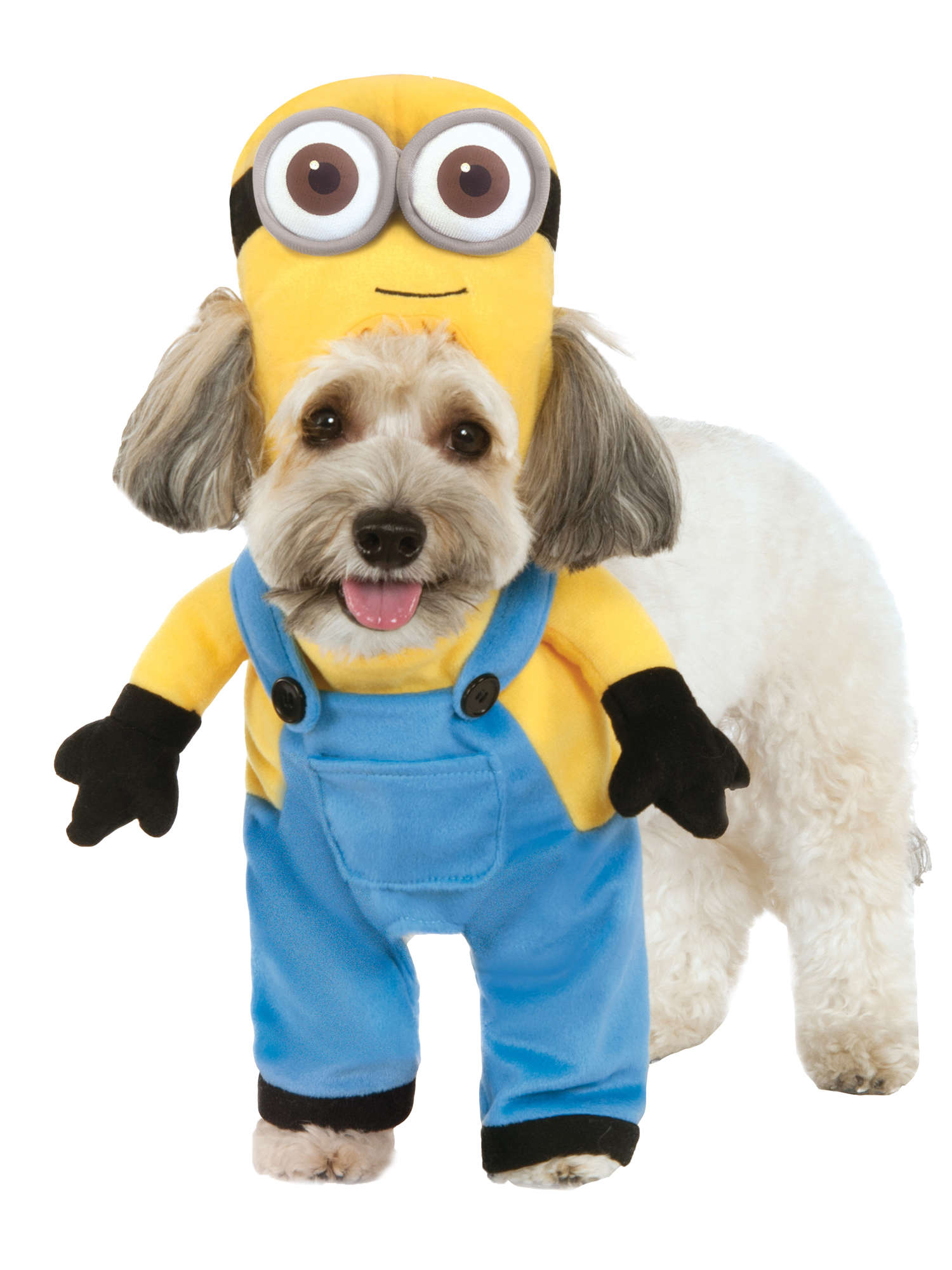 Minion Bob 1