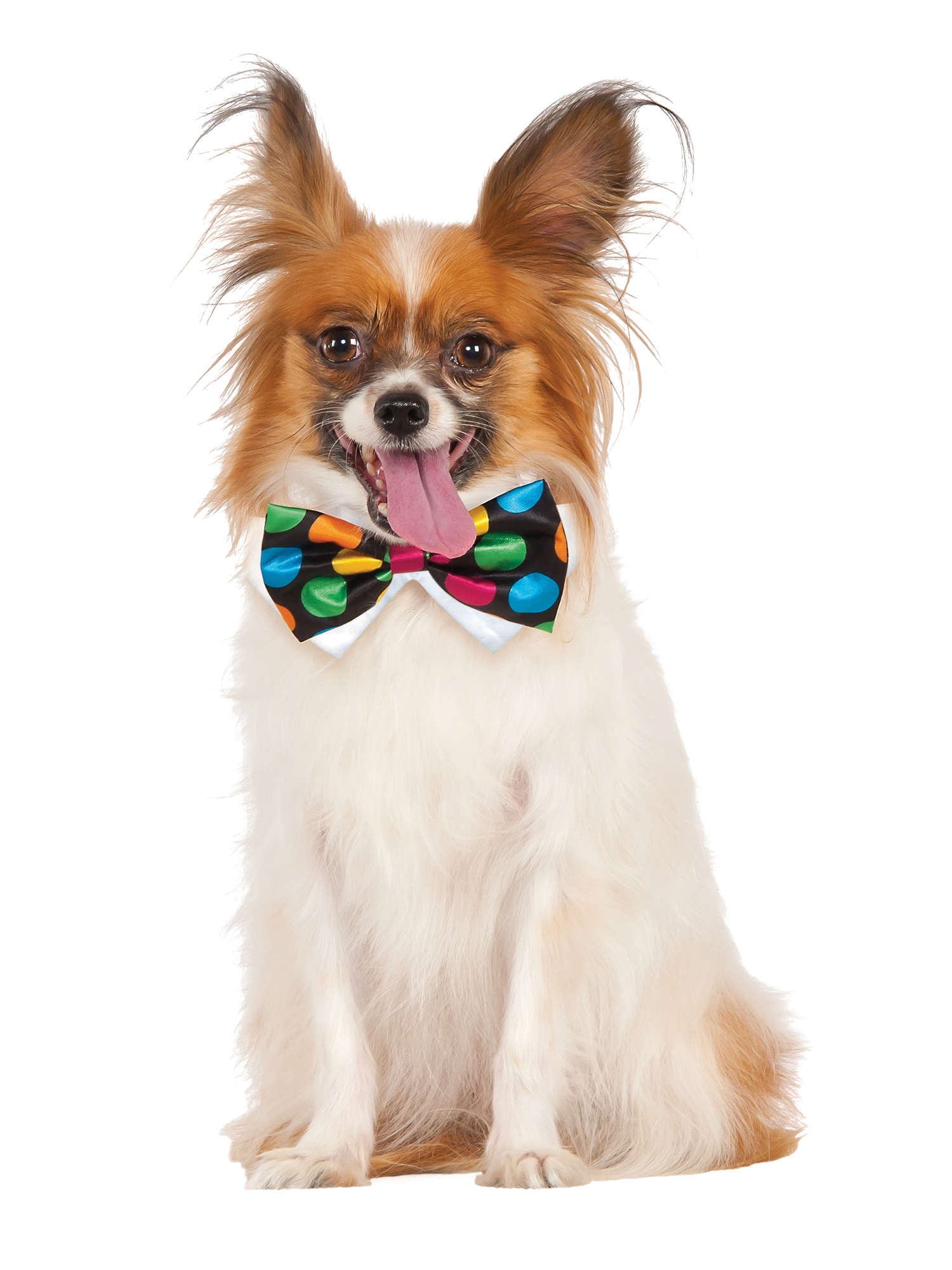 Halloween Polka Dot Bowtie Pet Costume 1