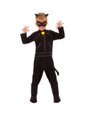 Cat Noir 1