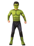 Hulk Costume 1