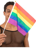Hand Held Rainbow Flags, 45x30cm, 12Pk 1