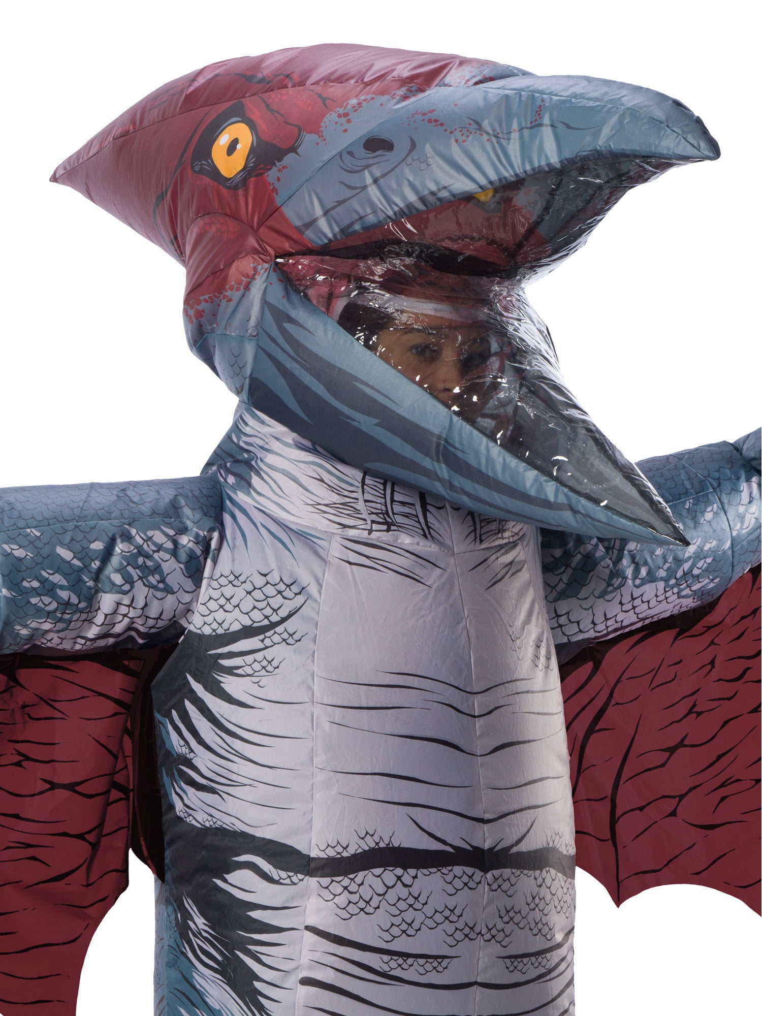 Inflatable Pteranodon 2