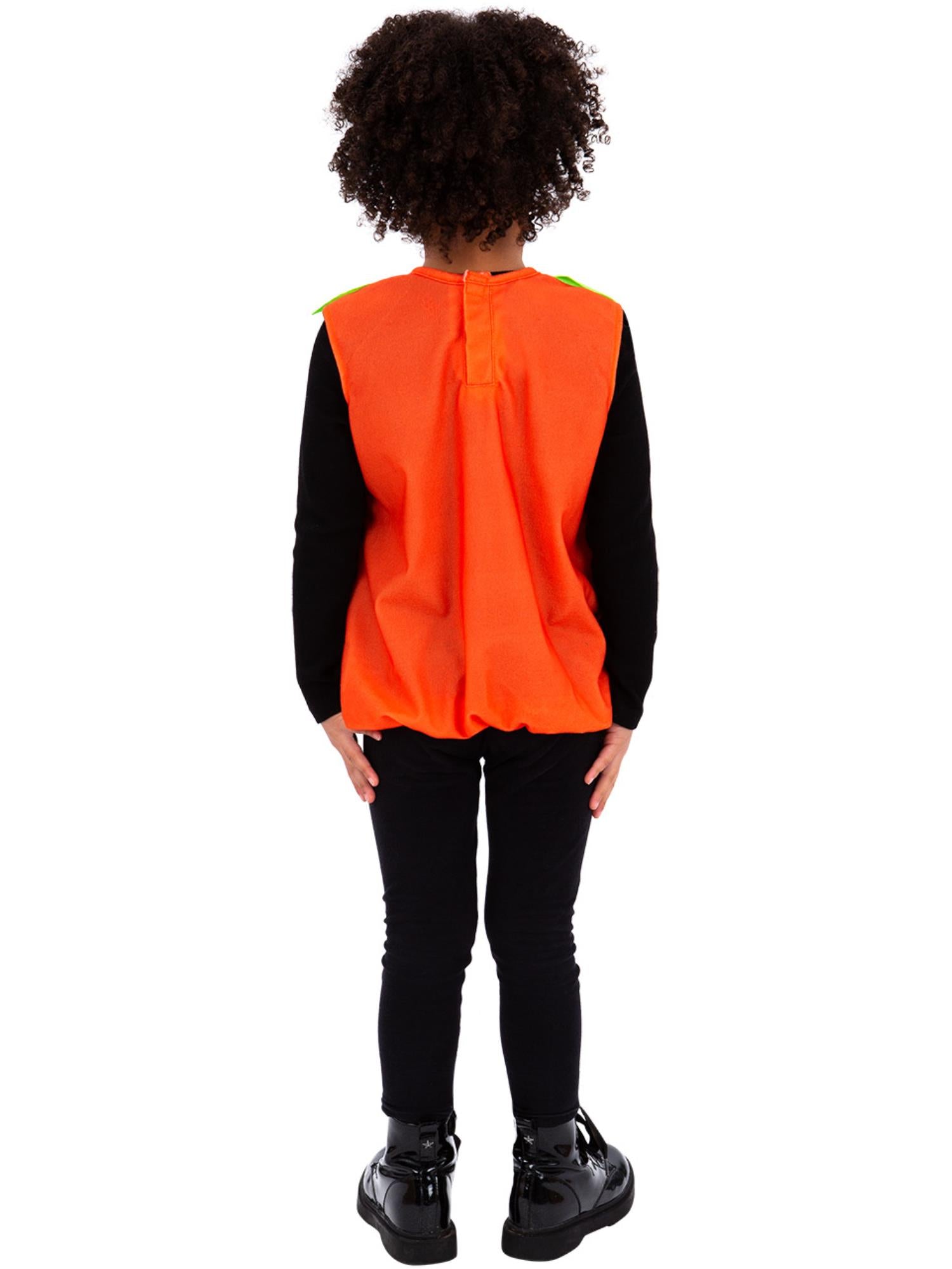 Pumpkin Costume 2