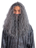 Sorcerer/Wizard Wig & Beard Set, Grey 1