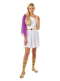 Greek Goddess Costume 1