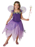 Plum Pixie 1