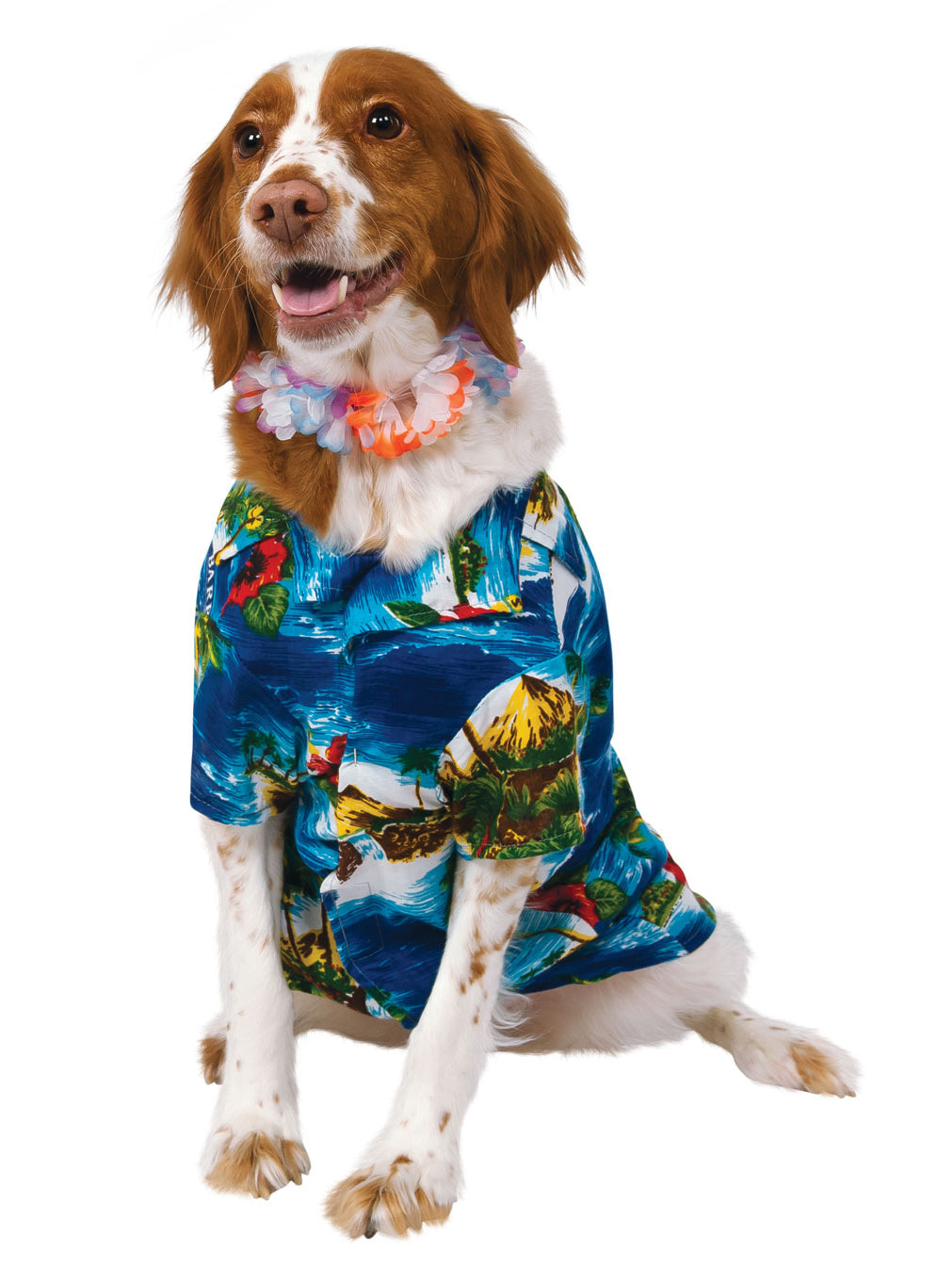Luau Pet Costume 2