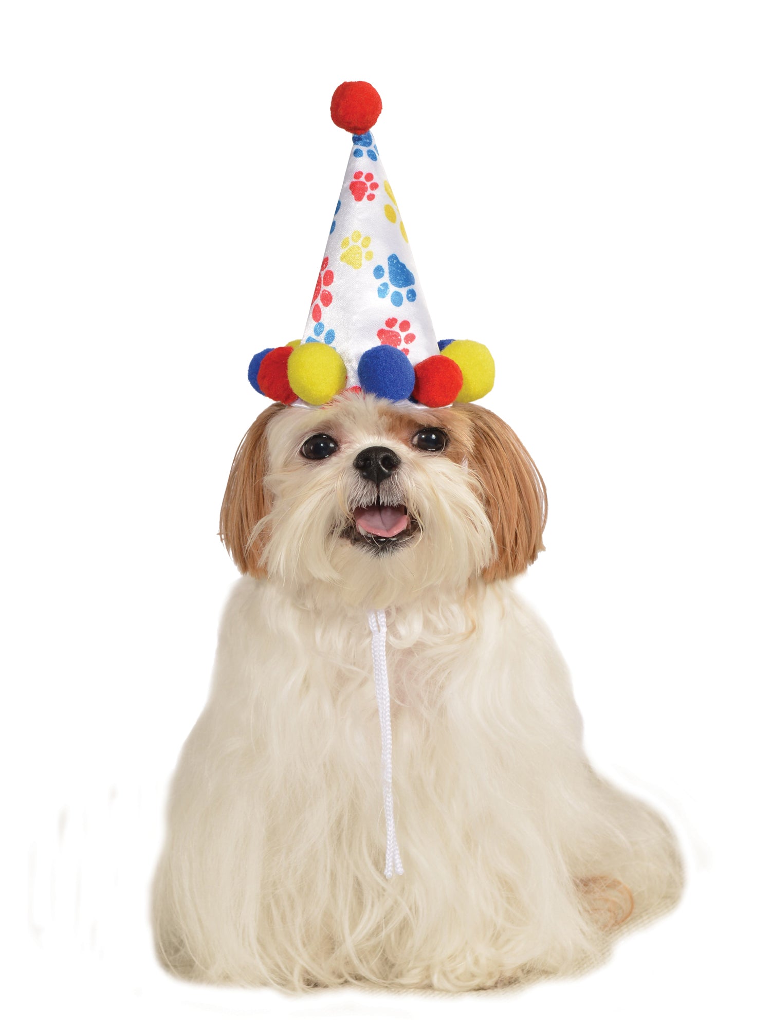 Paw Print Birthday Hat Pet Costume 1