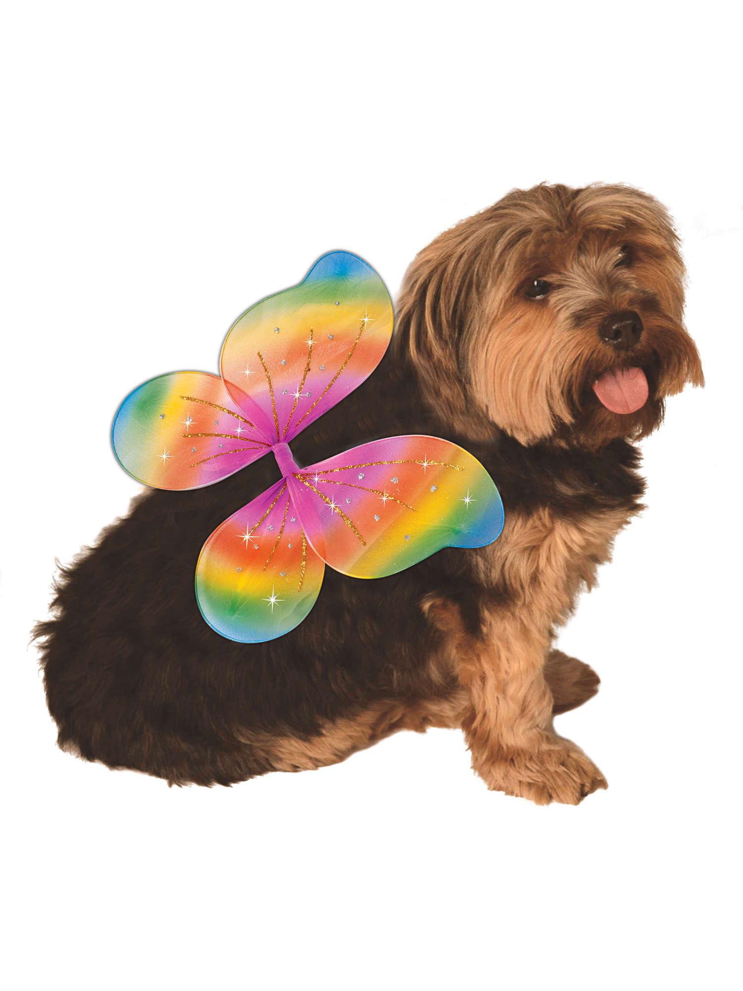 Rainbow Fairy Wings Pet Costume 1