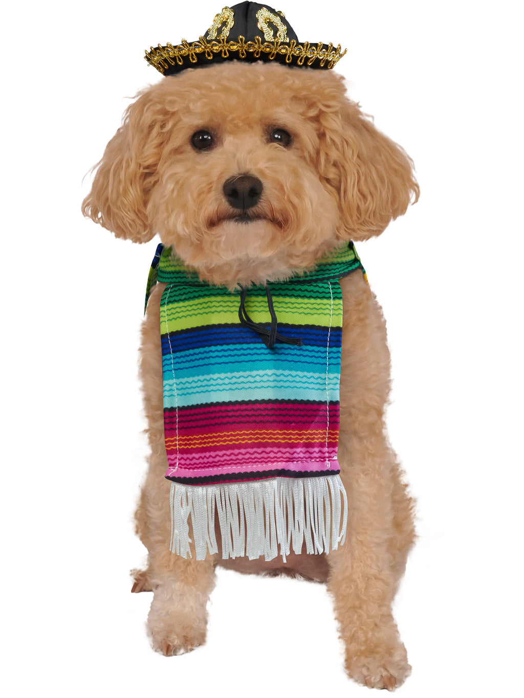 Mexican Serape Pet Costume 1