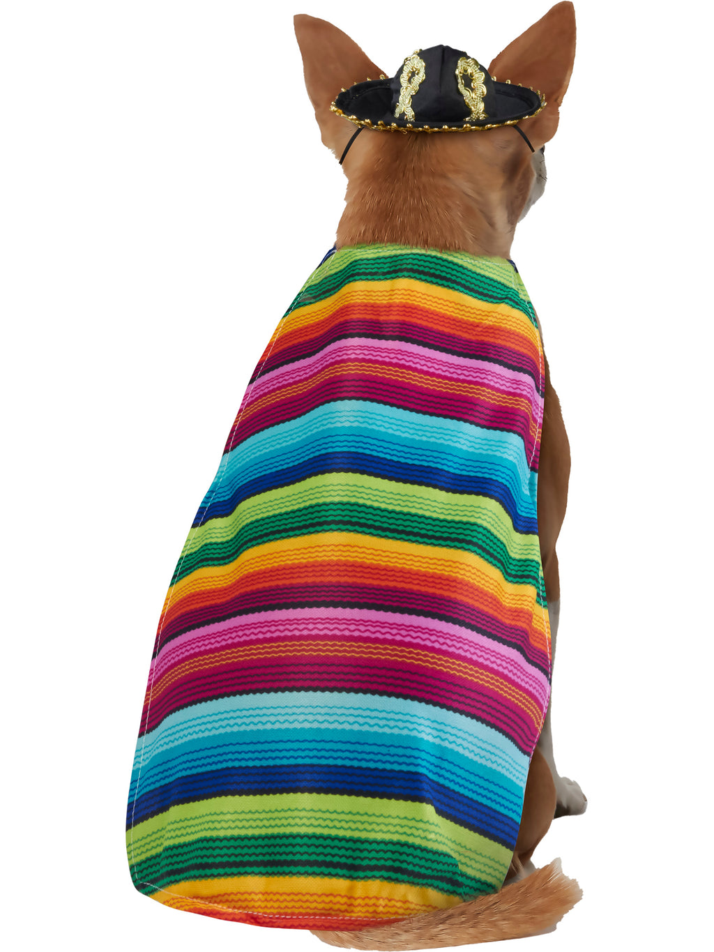 Mexican Serape Pet Costume 2