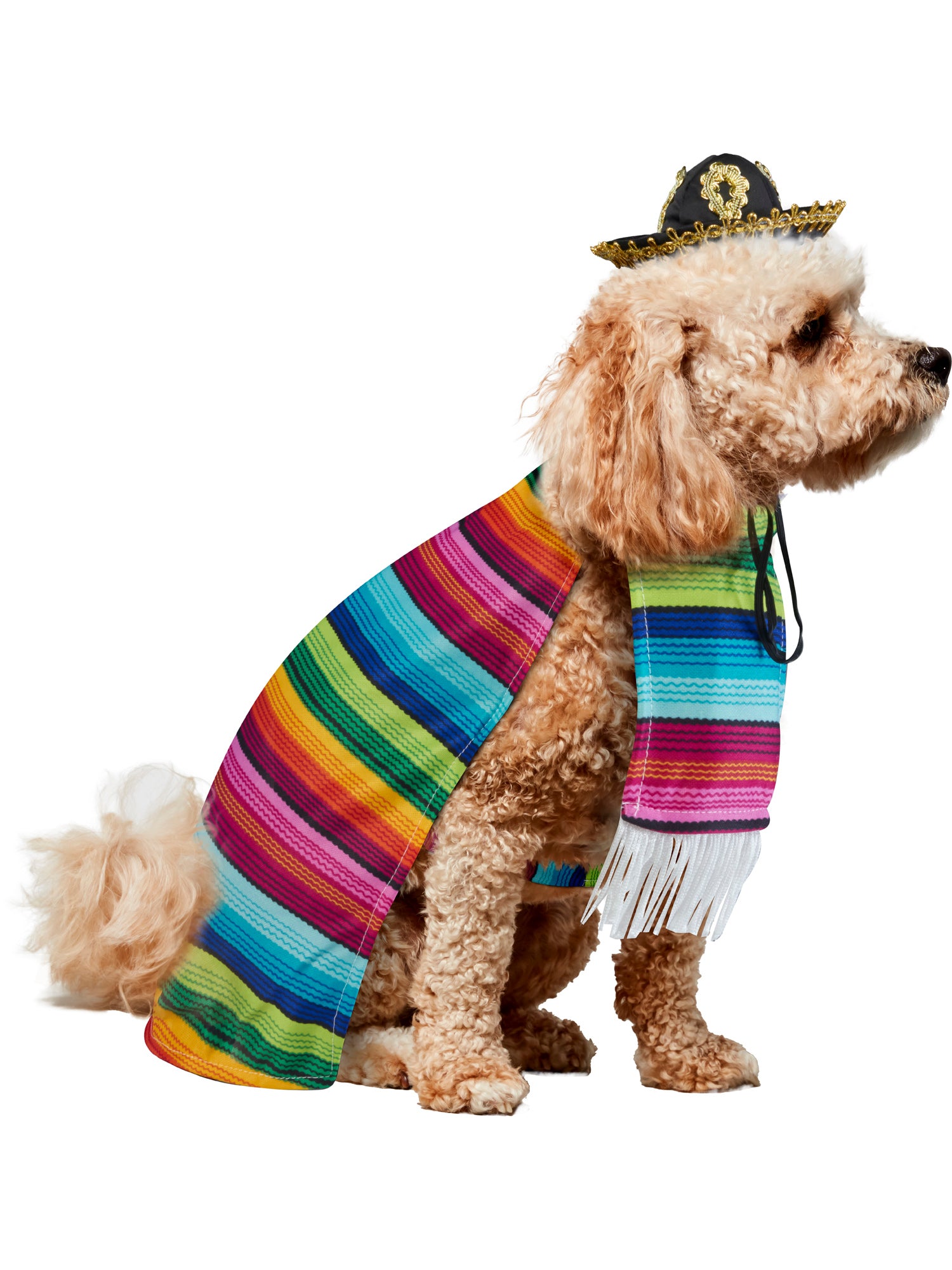 Mexican Serape Pet Costume 3
