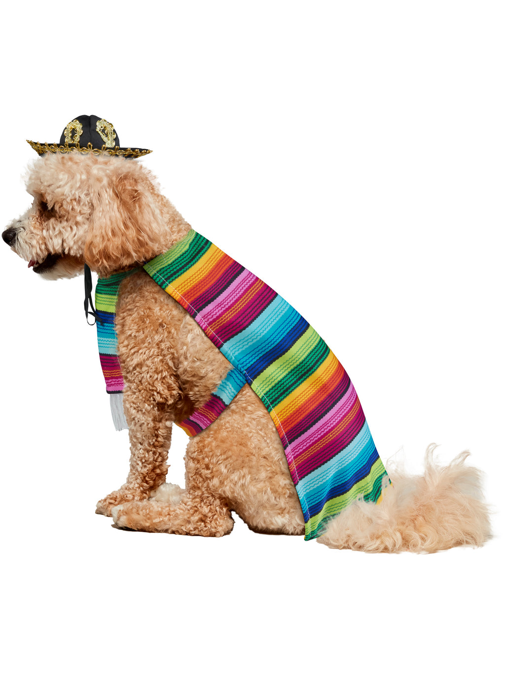 Mexican Serape Pet Costume 4
