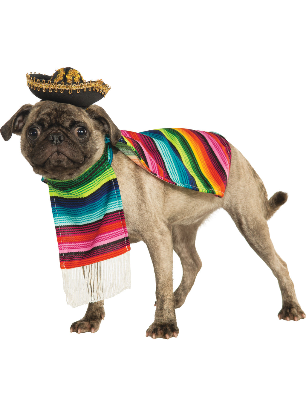 Mexican Serape Pet Costume 5