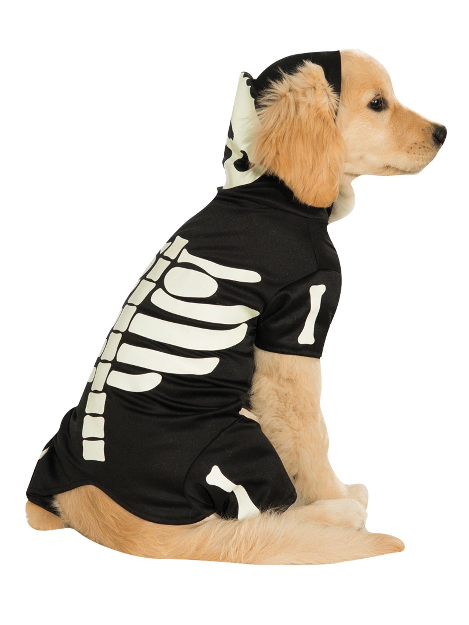 SKELETON GLOW IN THE DARK PET HOODIE 1
