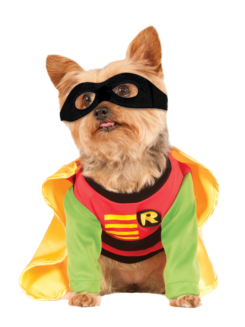 Robin Pet Costume 2