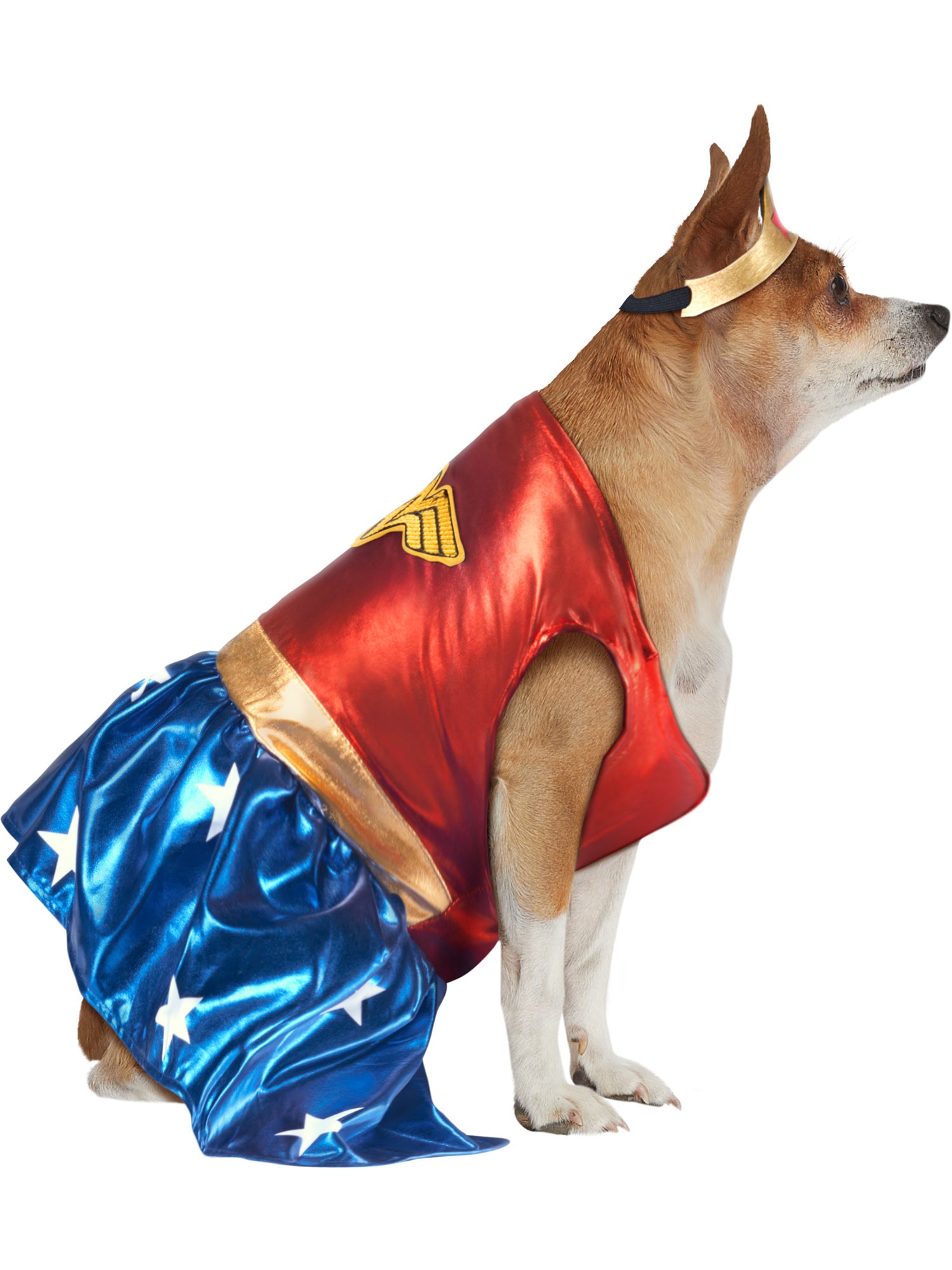 Wonder Woman Pet Costume 3