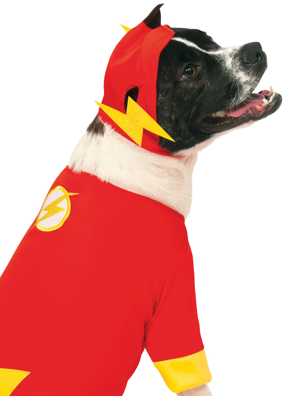The Flash Pet Costume 2