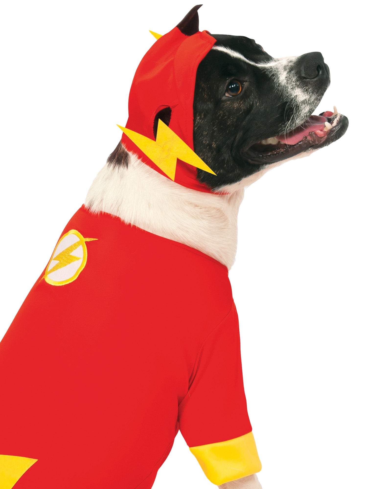 The Flash Pet Costume 2
