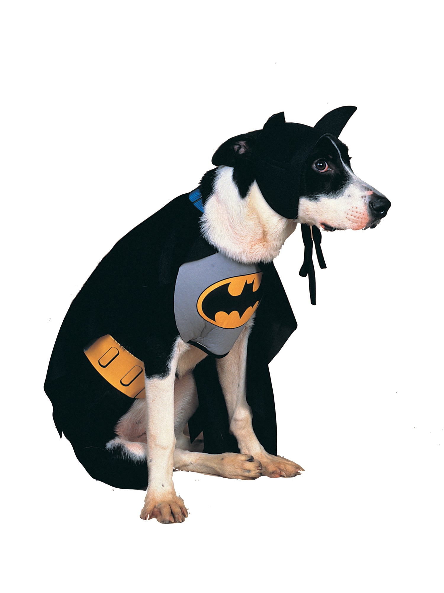 Classic Batman Dog Costume 2
